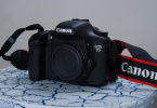 CANON D 7 