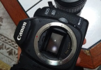 Canon 5d mark ii +28-135 canon ultrasonic lens