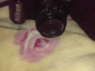 Nikon AF F401x filimli makine ve üzerinde 35-70 1.3.3.4.6 lens var