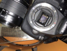 1 yıllık az kullanılmış faturalı kutulu -Canon 1200D